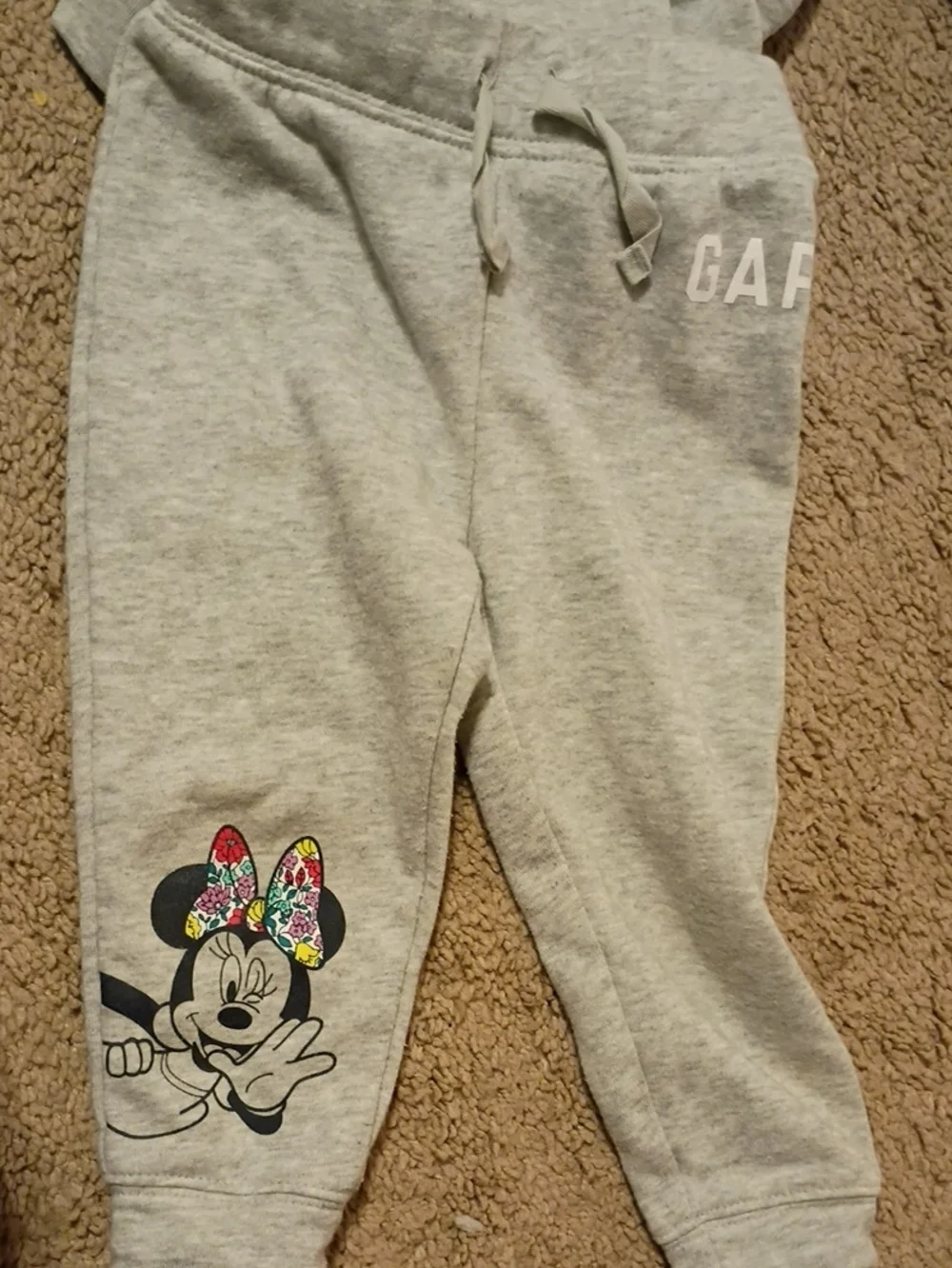 GAP Kids Gray Hooded Sweatshirt with Floral-Print Character